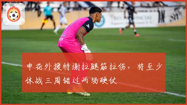 申花外援特谢拉腿筋拉伤,将至少休战三周错过两场硬仗