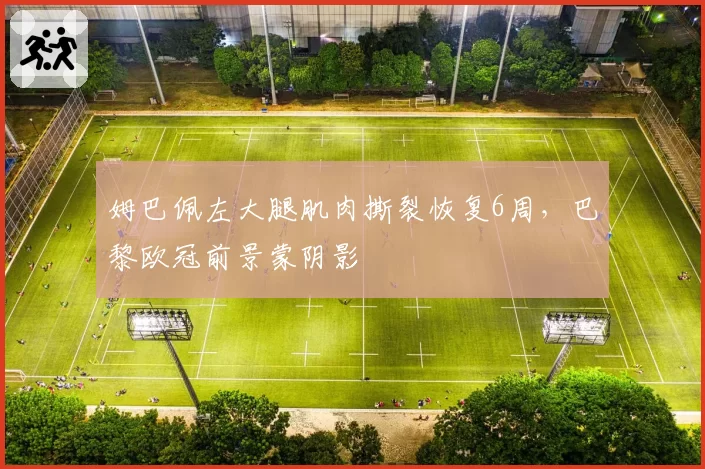 姆巴佩左大腿肌肉撕裂恢复6周,巴黎欧冠前景蒙阴影