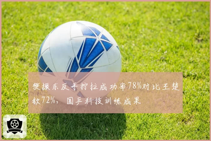樊振东反手拧拉成功率78%对比王楚钦72%，国乒科技训练成果