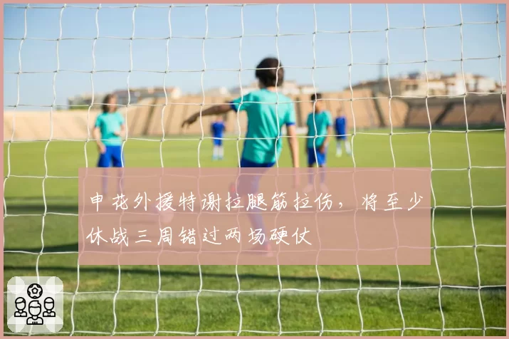 申花外援特谢拉腿筋拉伤,将至少休战三周错过两场硬仗